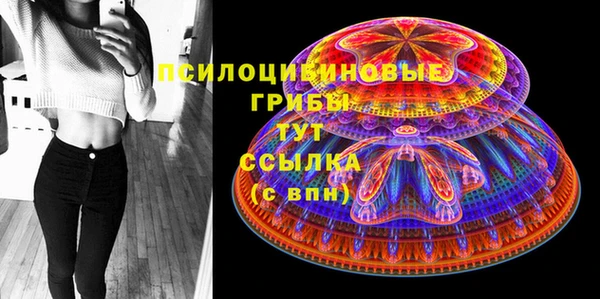 экстази Белокуриха